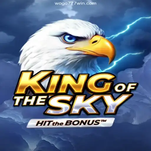 Exploring KingOfTheSky: The Exciting Aerial Adventure